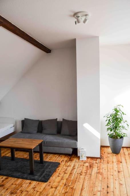 Schoene Dachgeschosswohnung Nahe Koeln Екстер'єр фото