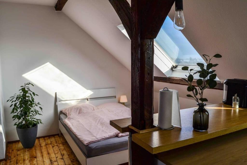 Schoene Dachgeschosswohnung Nahe Koeln Екстер'єр фото